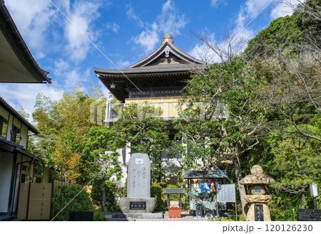 鎌倉市　仏海山　大船観音寺　境内 120126230
