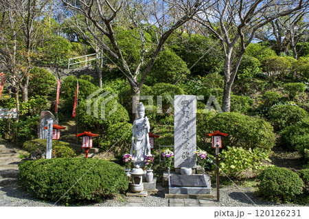 鎌倉市　仏海山　大船観音寺　境内 120126231