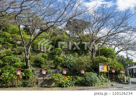 鎌倉市　仏海山　大船観音寺　境内 120126234