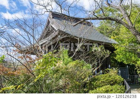 鎌倉市　仏海山　大船観音寺　慈光堂 120126238