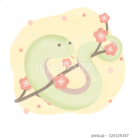 梅とヘビ 黄色 梅とヘビ 黄色 120126387