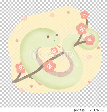 梅とヘビ 黄色 梅とヘビ 黄色 120126387