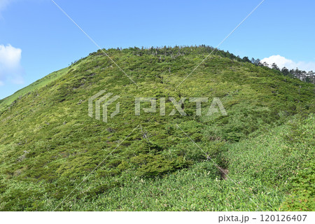 白砂山登山、群馬県 120126407