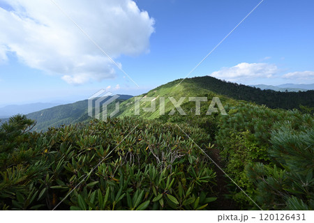 白砂山登山、群馬県 120126431