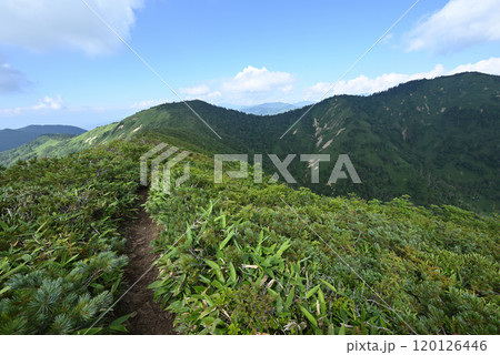 白砂山登山、群馬県 白砂山登山、群馬県 120126446