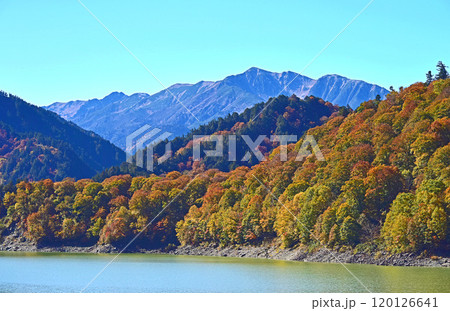 立山黒部アルペンルートの紅葉　黒部ダム　 120126641