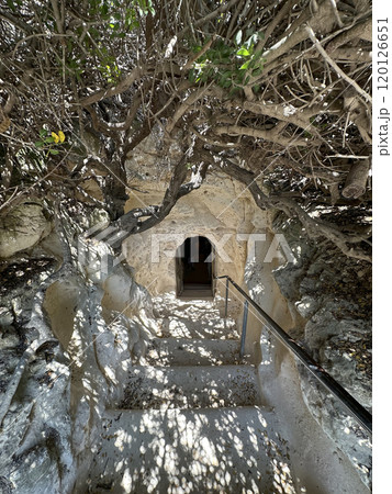 Entrance to the Sidonian Caves in Beit Guvrin-Maresha National Park Entrance to the Sidonian Caves in Beit Guvrin-Maresha National Park 120126651