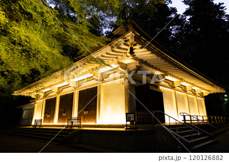 紅葉に包まれる中尊寺のライトアップ 120126882