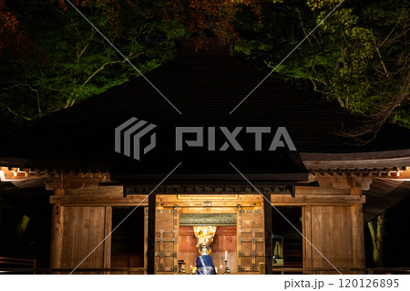 紅葉に包まれる中尊寺のライトアップ 120126895