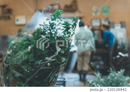 花き農家の出荷作業 花き農家の出荷作業 120126942