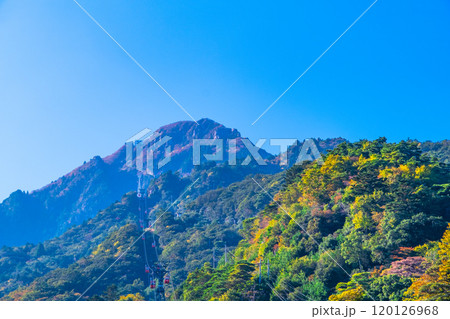 紅葉をし始めた麓から見た御在所岳 紅葉をし始めた麓から見た御在所岳 120126968