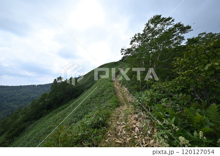 白砂山登山、群馬県 白砂山登山、群馬県 120127054