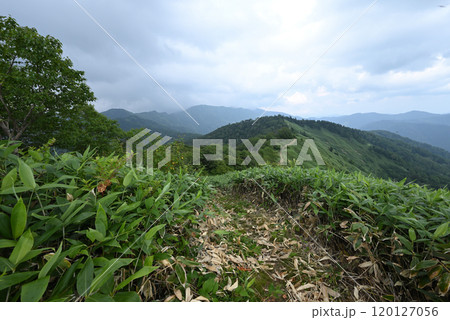 白砂山登山、群馬県 白砂山登山、群馬県 120127056