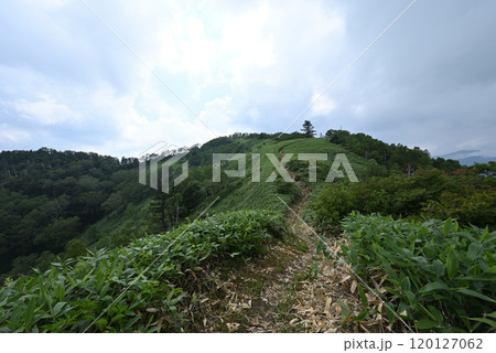 白砂山登山、群馬県 白砂山登山、群馬県 120127062