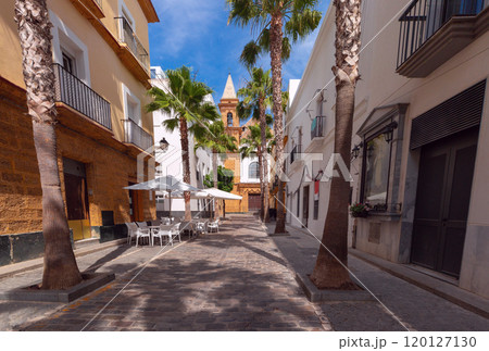 Charming Street with Palm Trees near San Antonio Church, Cadiz, Spain 120127130