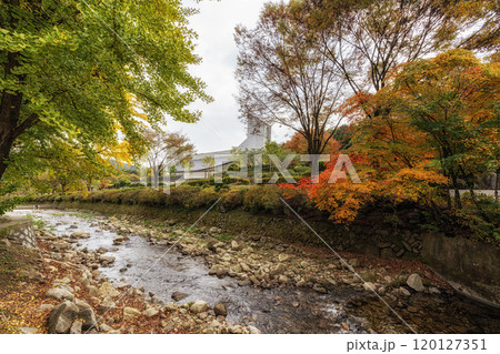 Baeron Holy Ground Autumn Creek Baeron Holy Ground Autumn Creek 120127351