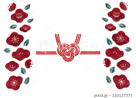 あわじ結びの水引と椿の花のガーリーでおめでたいイメージの装飾イラスト 120127371