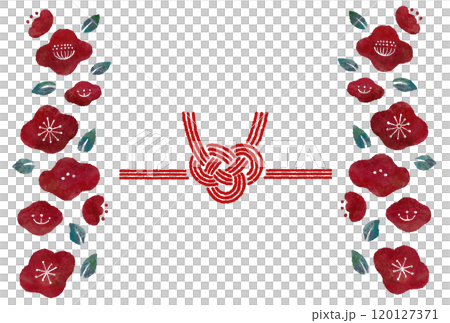 あわじ結びの水引と椿の花のガーリーでおめでたいイメージの装飾イラスト 120127371