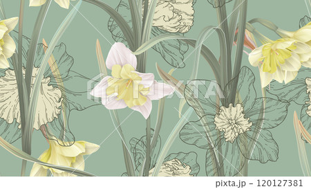 Floral seamless pattern, daffodil flowers with leaves on green 120127381