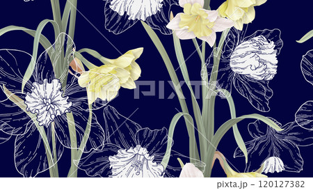 Floral seamless pattern, daffodil flowers with leaves on dark blue 120127382