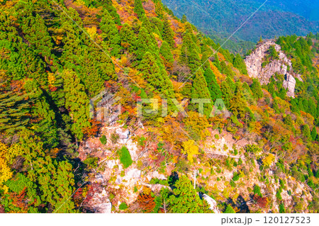 御在所岳の紅葉とキレット 120127523