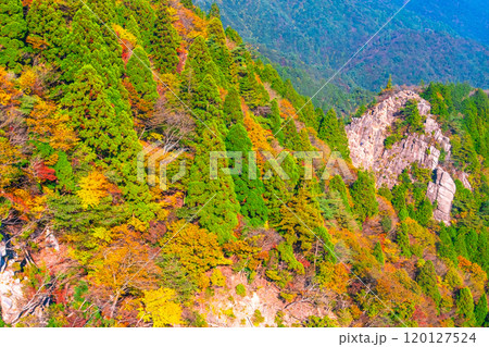 御在所岳の紅葉とキレット 御在所岳の紅葉とキレット 120127524