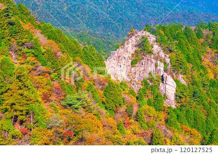 御在所岳の紅葉とキレット 120127525