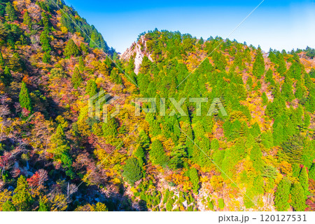 御在所岳の紅葉とキレット 120127531