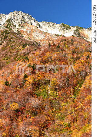 立山黒部アルペンルートの紅葉 黒部平 立山黒部アルペンルートの紅葉 黒部平 120127795