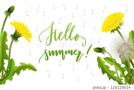 Banner hello summer dandelion seed background lettering 120128014