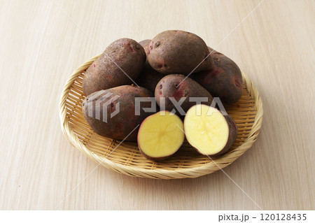 グランドペチカ 120128435