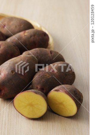 グランドペチカ 120128459