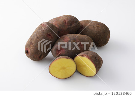 グランドペチカ 120128460