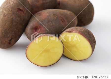 グランドペチカ 120128465