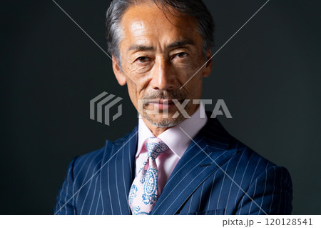 ビジネス　シニア男性　クール　 120128541