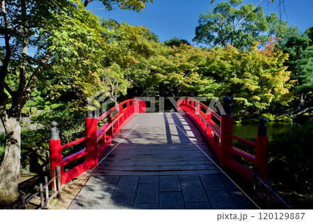朱色の橋がかかる山陰の美しい日本庭園 120129887
