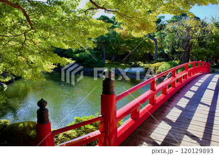 朱色の橋がかかる山陰の美しい日本庭園 120129893