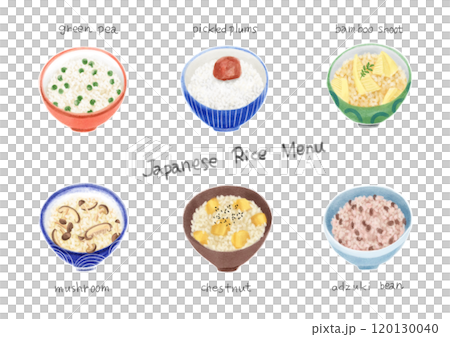 Japanese rice menu 120130040