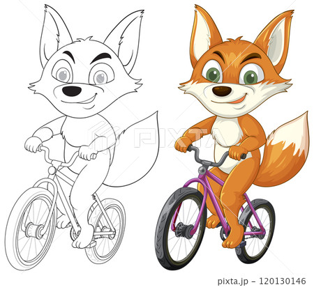 Fox Riding a Bicycle Illustration Fox Riding a Bicycle Illustration 120130146