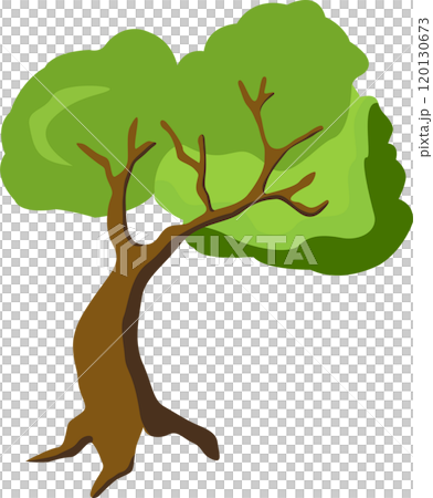 Cartoon tree. Simple modern style. green plants, forest. Flat style  120130673