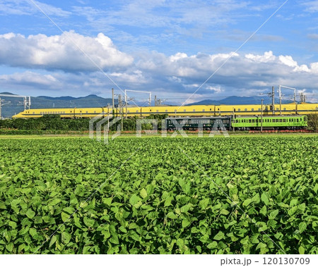 ドクターイエローと近江鉄道の並走撮った! ドクターイエローと近江鉄道の並走撮った! 120130709
