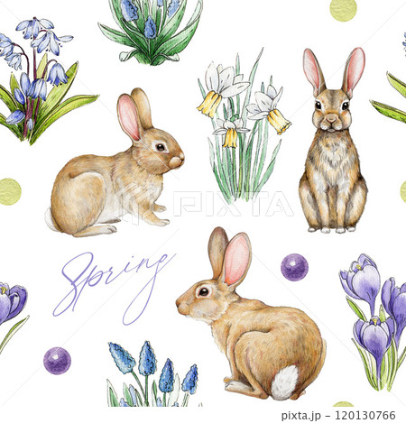 Easter bunny decorative seamless pattern. Watercolor illustration. Hand drawn cute bunnies, primrose flowers. Easter festive decor with rabbits and greens on white background 120130766