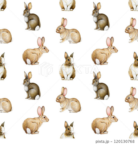 Cute hand drawn bunnies seamless pattern. Watercolor vintage style illustration. Painted rabbits farm and wildlife animals on white background. Easter bunnies seamless pattern on white background 120130768