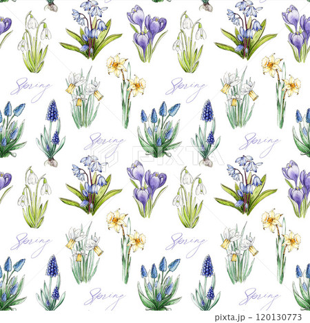 Springtime flowers seamless pattern. Watercolor hand drawn vintage illustration. Blooming season daffodil, snowdrop, muscari, bluebell flowers. Easter decor element, seasonal cards, spring design 120130773