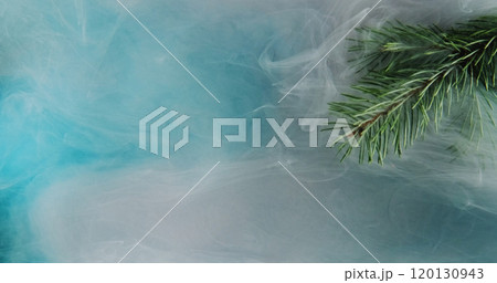 Fir sprig mist. Hazy flow. Rain water droplets green tree needles in blue white color fog refreshing ambient abstract blurry background. Fir sprig mist. Hazy flow. Rain water droplets green tree needles in blue white color fog refreshing ambient abstract blurry background. 120130943