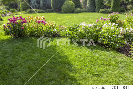 Colorful flower garden Colorful flower garden 120131046