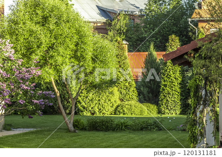 Freshly cut grass Freshly cut grass 120131181