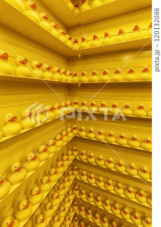 A lot of toy ducks 120132086