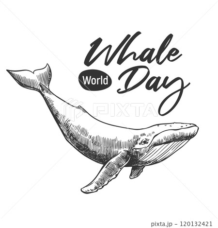 Whale Day emblem, February 19, 2025. Vector monochrome linear drawing of a humpback whale. Concept of the global problem of preserving the diversity of mammals in the ocean. Design for a t-shirt. 120132421