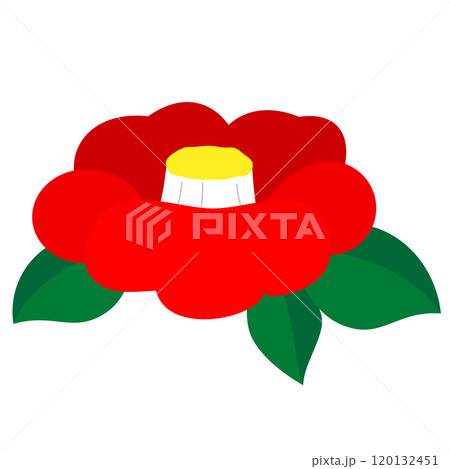 つばき、一輪、単品のイラスト 120132451